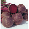 HOT SALE BEETROOT GOOD QUALITY/FRESH VEGETABLE/FRESH FRUIT FROM VIETNAM